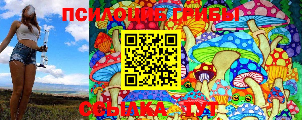Галлюциногенные грибы Magic Shrooms Таганрог