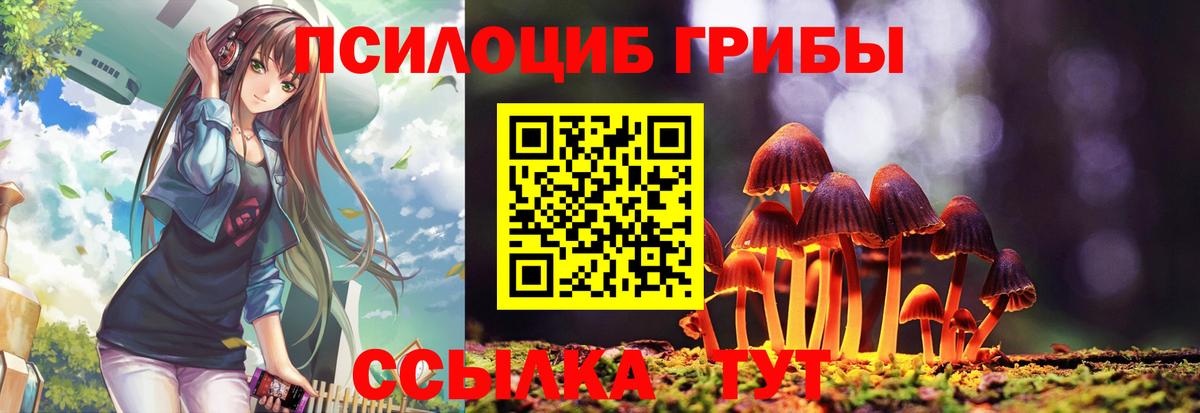 Галлюциногенные грибы мухоморы  Псилоцибиновые грибы Psilocybine cubensis  Таганрог  купить наркотик  Вход с VPN 