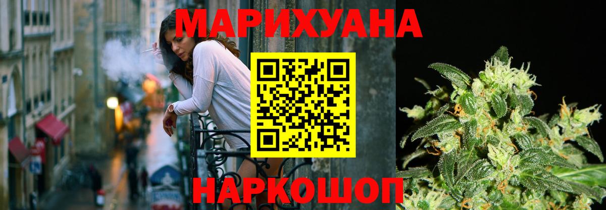 Бошки Шишки планчик Таганрог